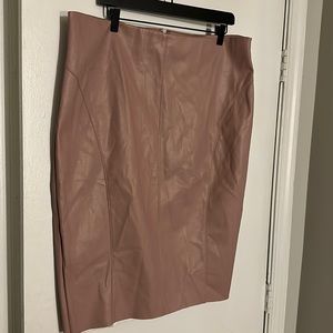 Express Pencil Skirt